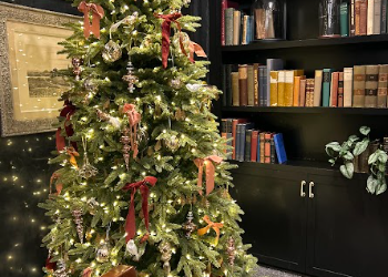 Holiday Stress and Family Boundaries: A Therapist’s Guide